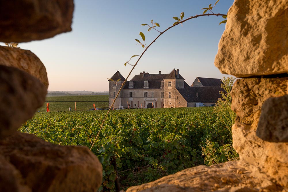 Visiter Beaune 3